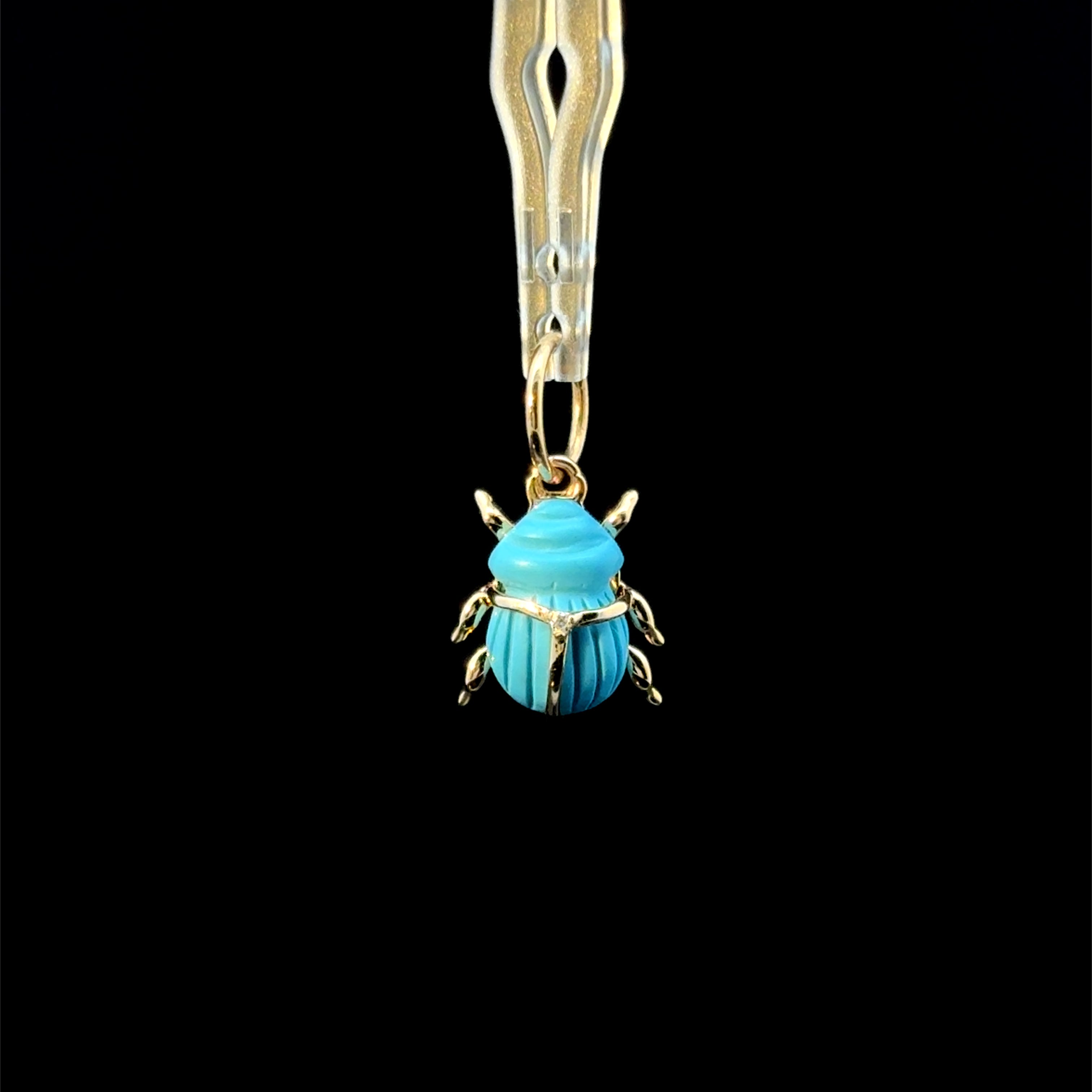 Turquoise Guardian Bug Charm