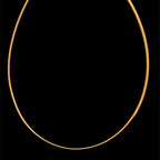 Omega 1mm