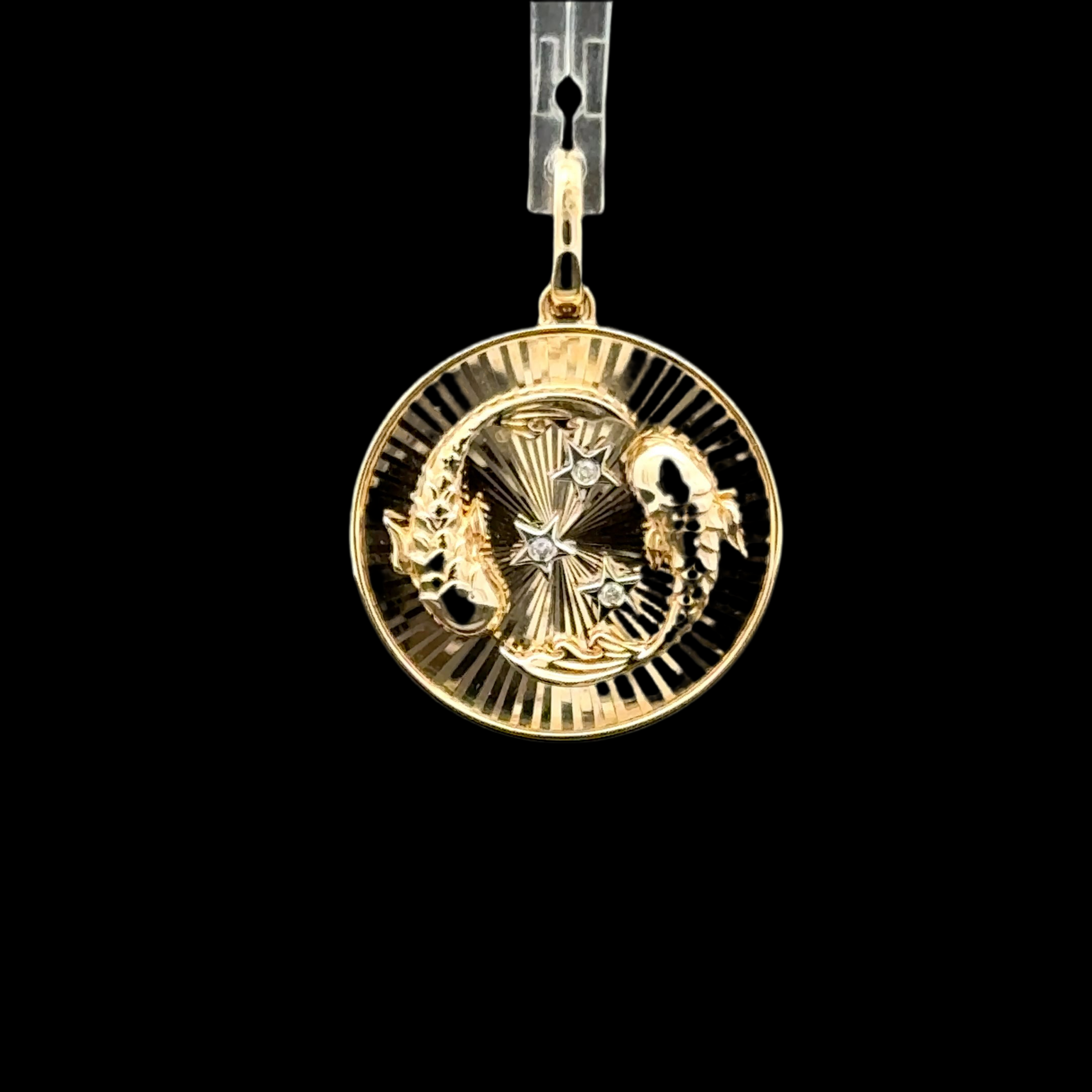 PISCES COIN