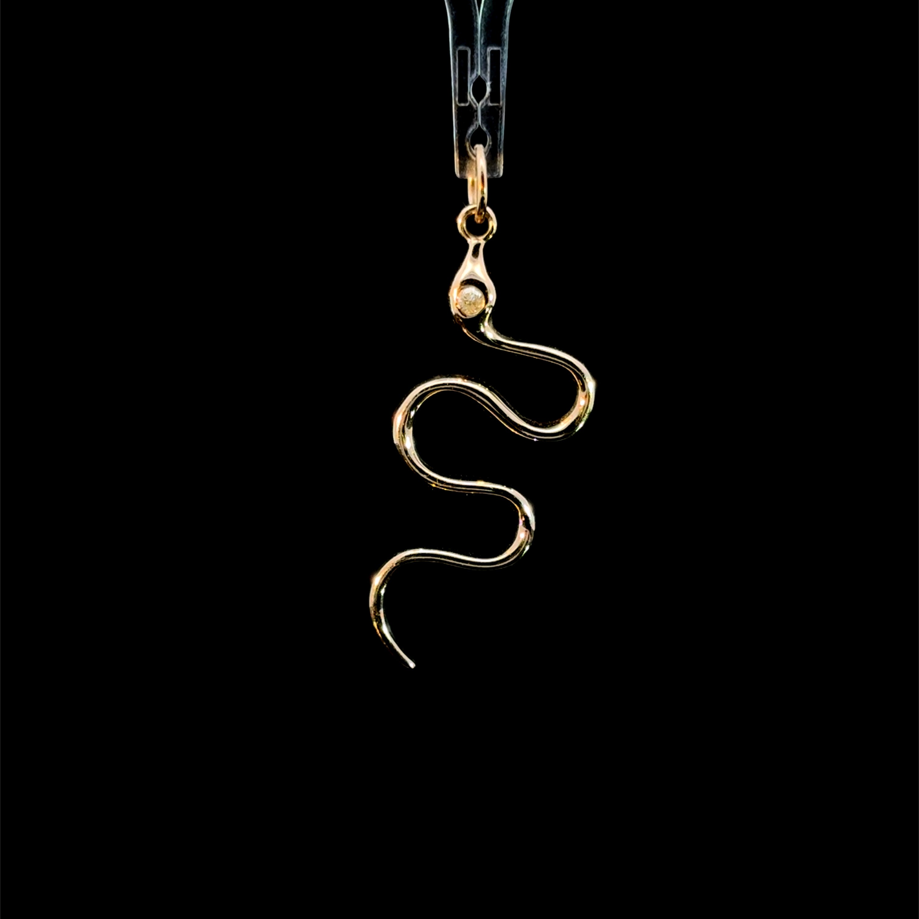 Diamond Serpent Charm