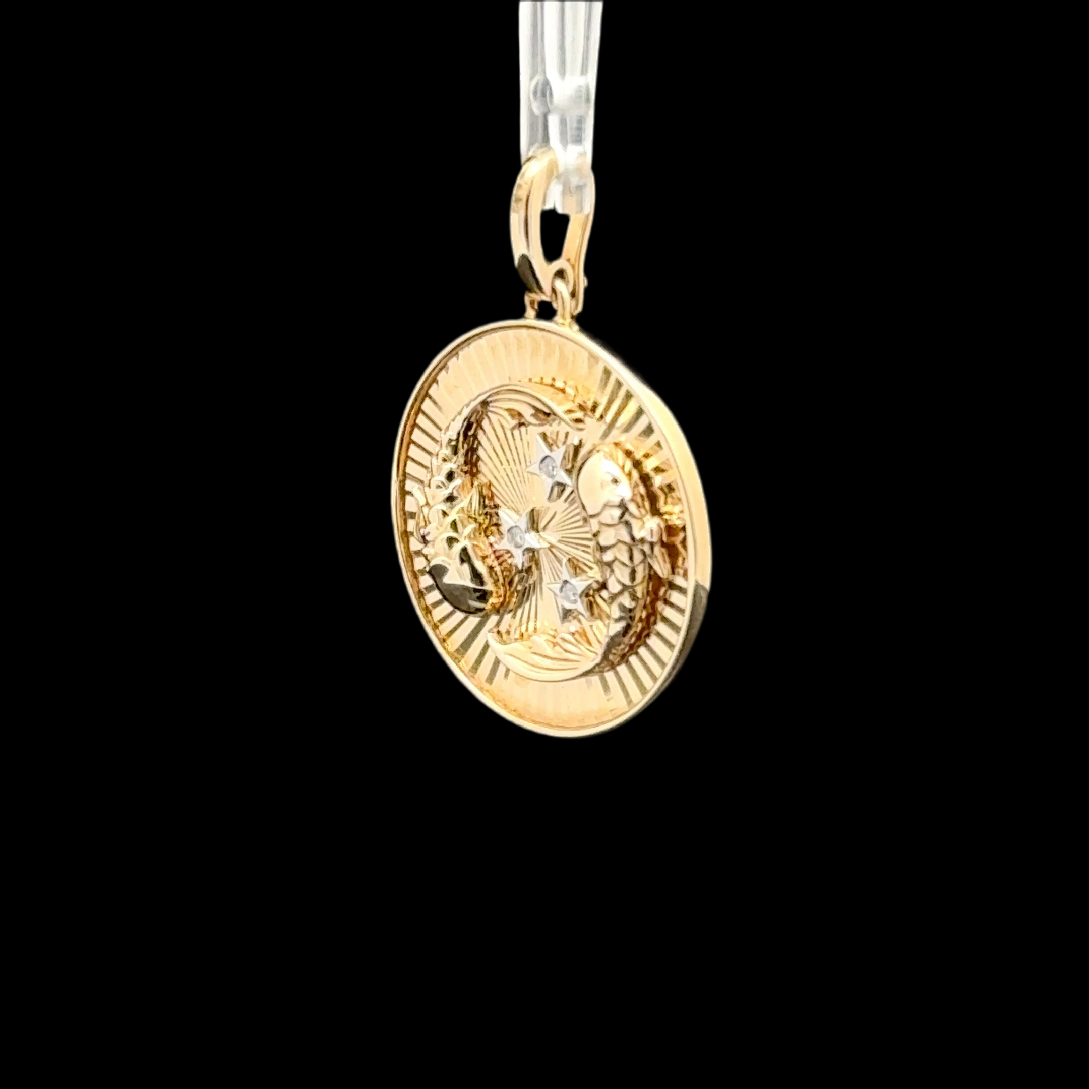 PISCES COIN