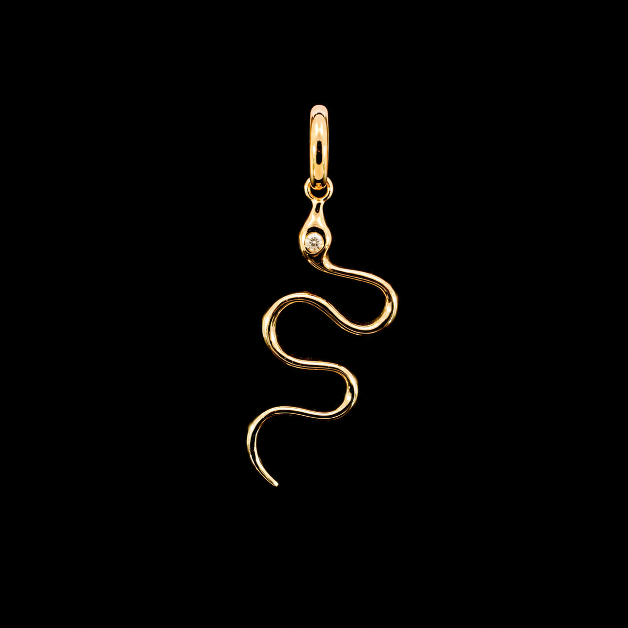 Diamond Serpent Charm
