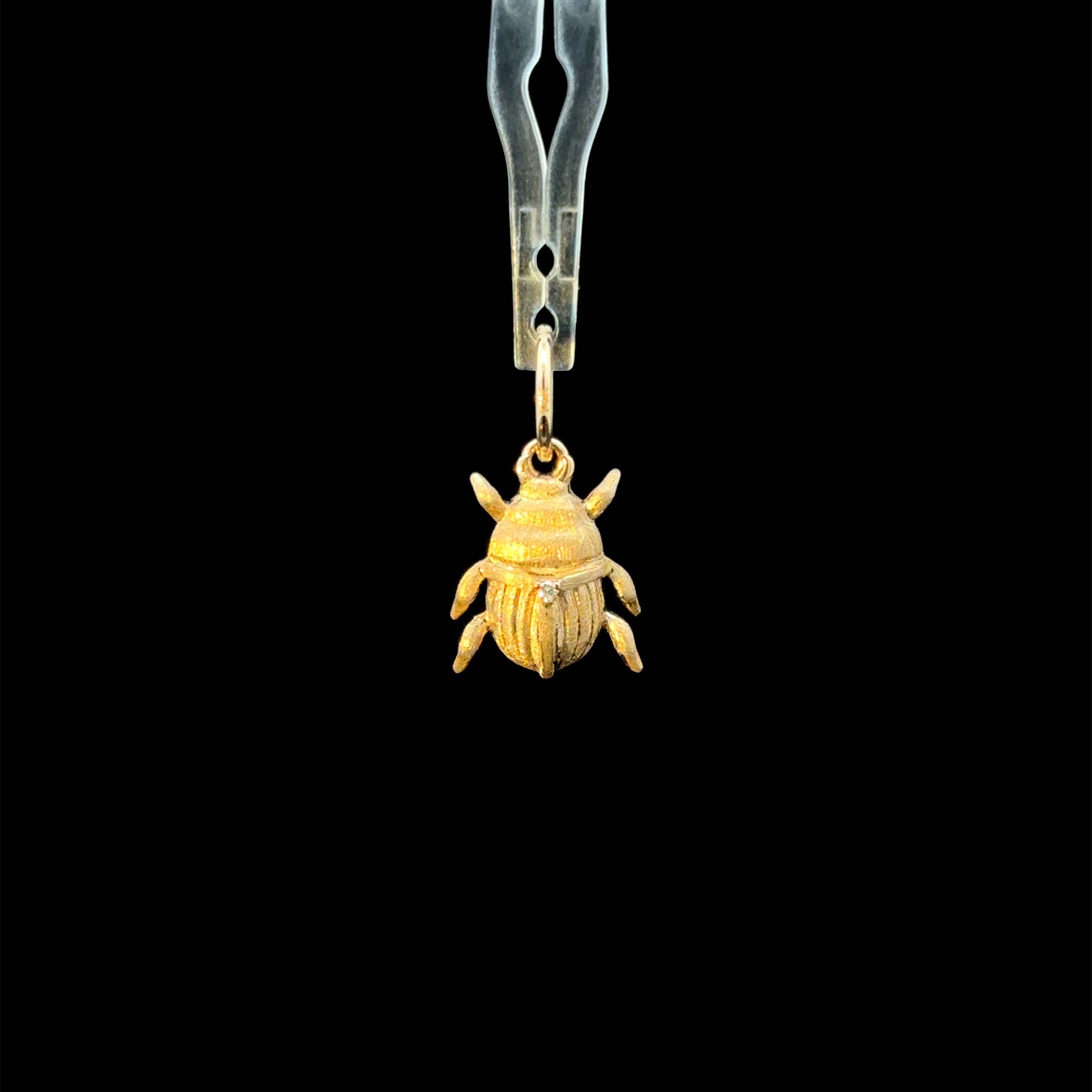 Brushed Gold Bug Charm