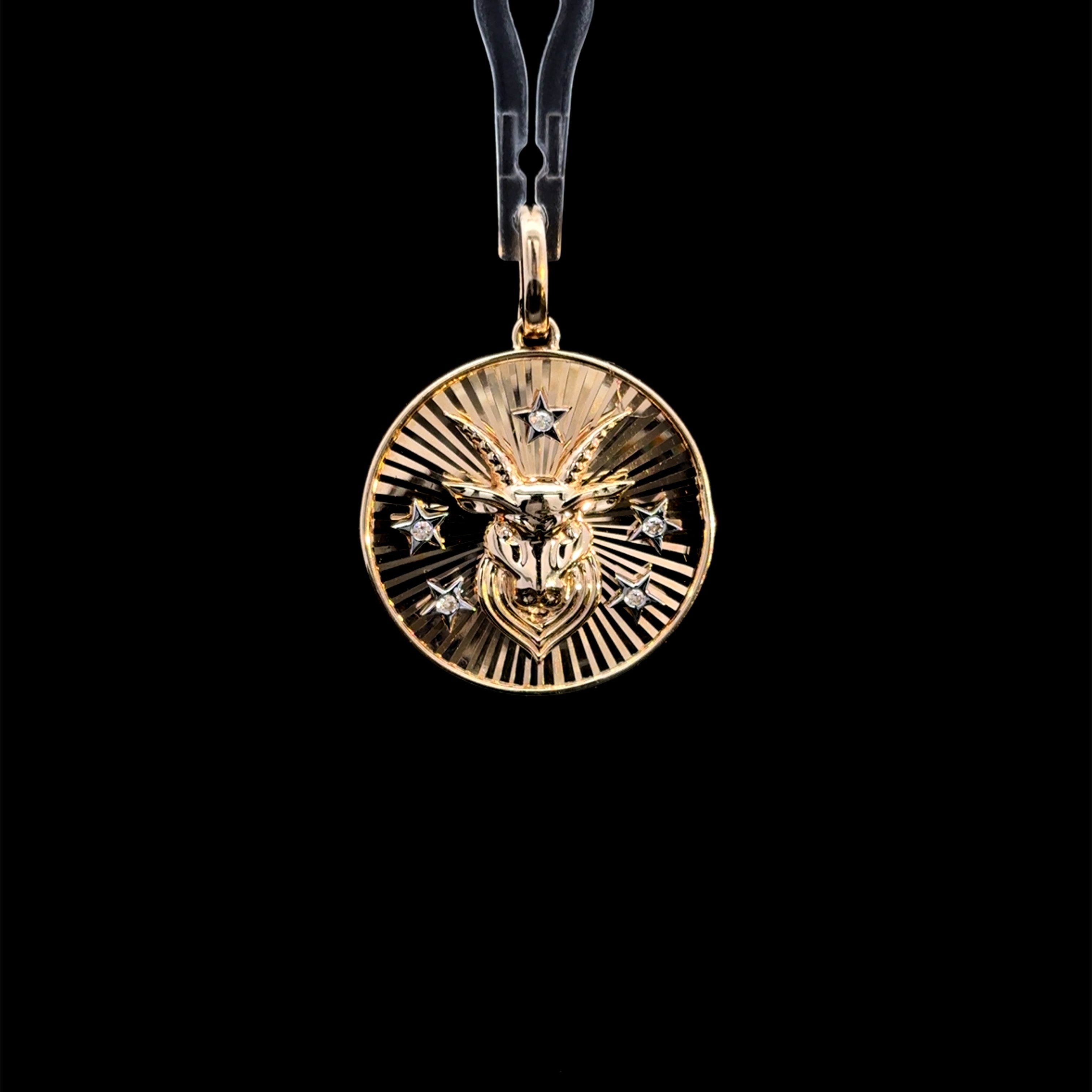 CAPRICORN COIN