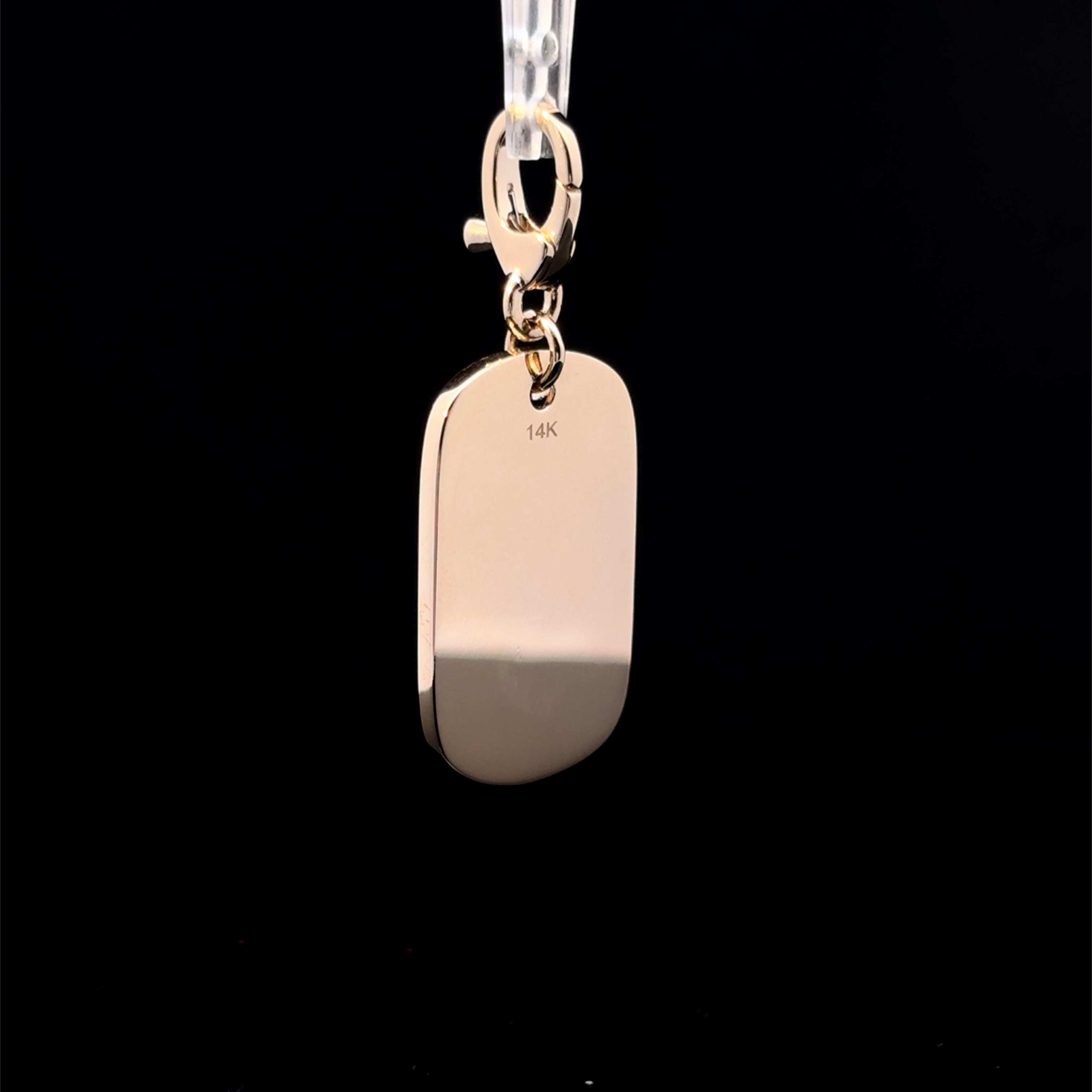 Tiger Eye Tag Charm