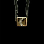 Moonlit Charm