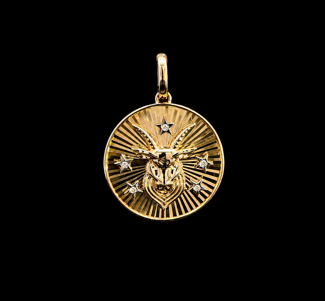CAPRICORN COIN